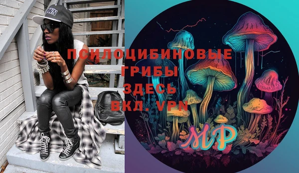 мдма Ладушкин