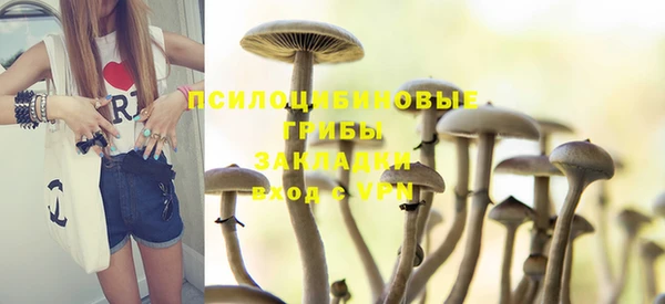 мдма Ладушкин