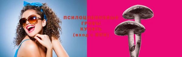 мдма Ладушкин