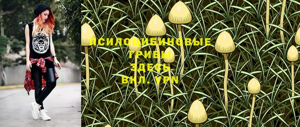 мдма Ладушкин