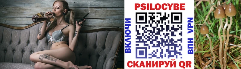 Купить  Томари  Галлюциногенные грибы прущие грибы 